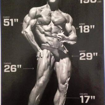 Frank Zane Mr Olympia 1977 78 79